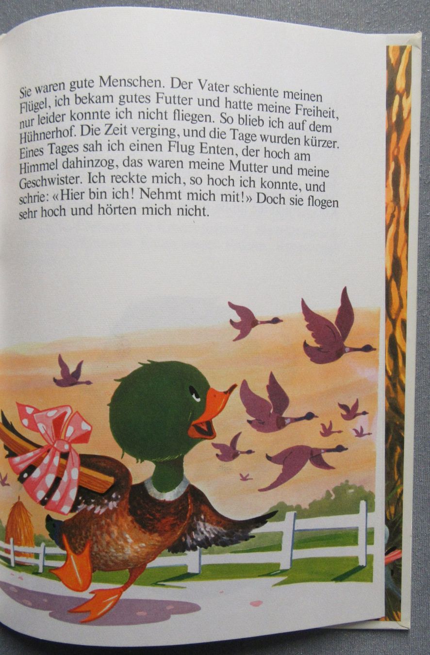 Bücher: Die Geschichte von... Entchen Goldfeder – Gebraucht aus Auenstein von Padabimbim 5