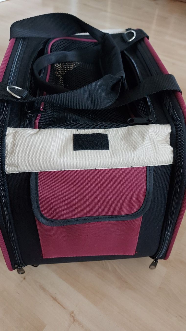Cucce & Letti: Tragtasche   Bexley  Hund – Nuovo (secondo la descrizione) da Nebikon venduto da Draga25