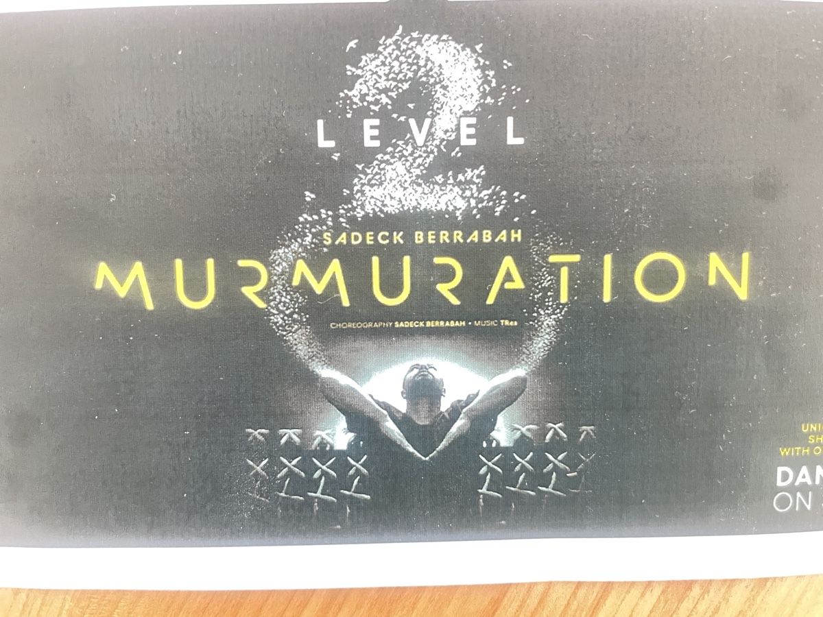 Biglietti: 2 Tickets Murmuration – Nuovo e nell'imballaggio originale da Staad SG venduto da Scotch7