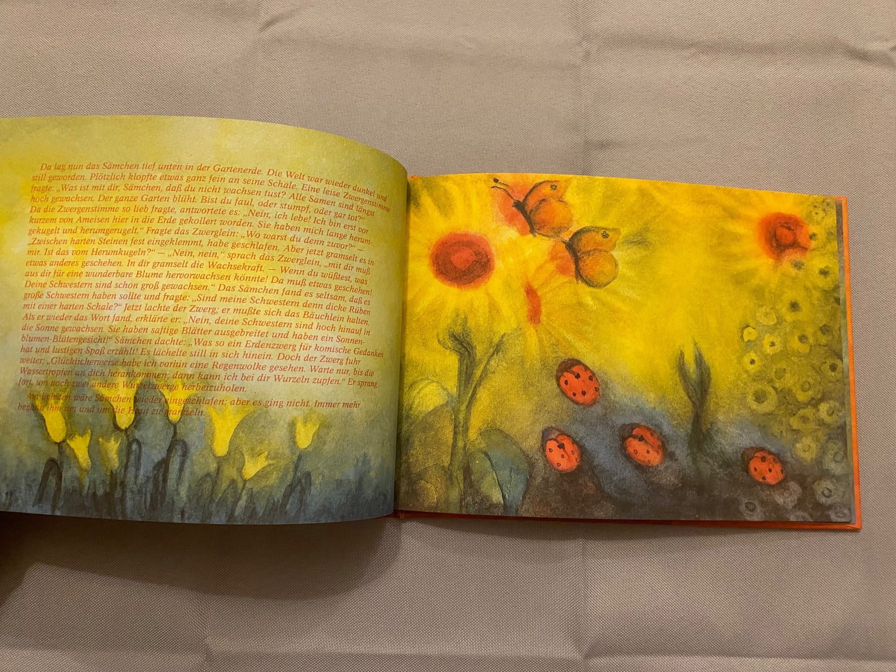 Libri: Jakob Streit Eingeklemmte Sämchen Kinderbuch Anthroposophie – Nuovo (secondo la descrizione) da Basel venduto da him_5r5n 4