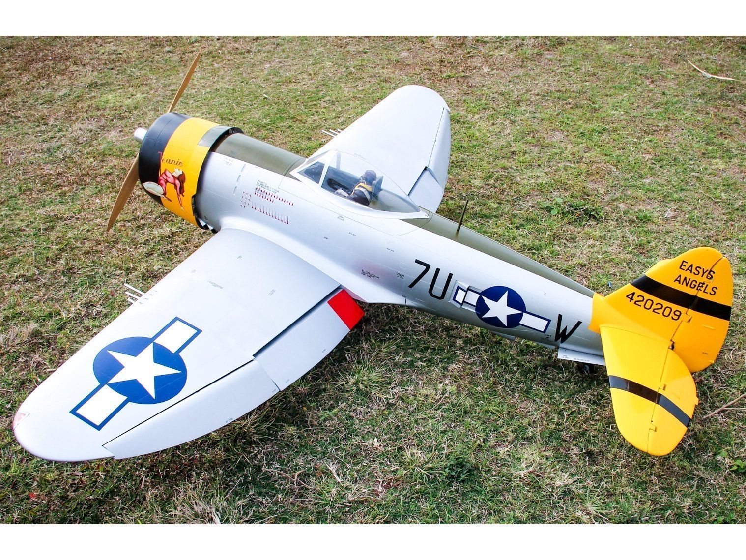 RC Modellbau: Full-Composite P-47D Thunderbolt Spw 2411mm ARF-Set Pilot-RC – Neu und originalverpackt aus Entlebuch von Hebu 1