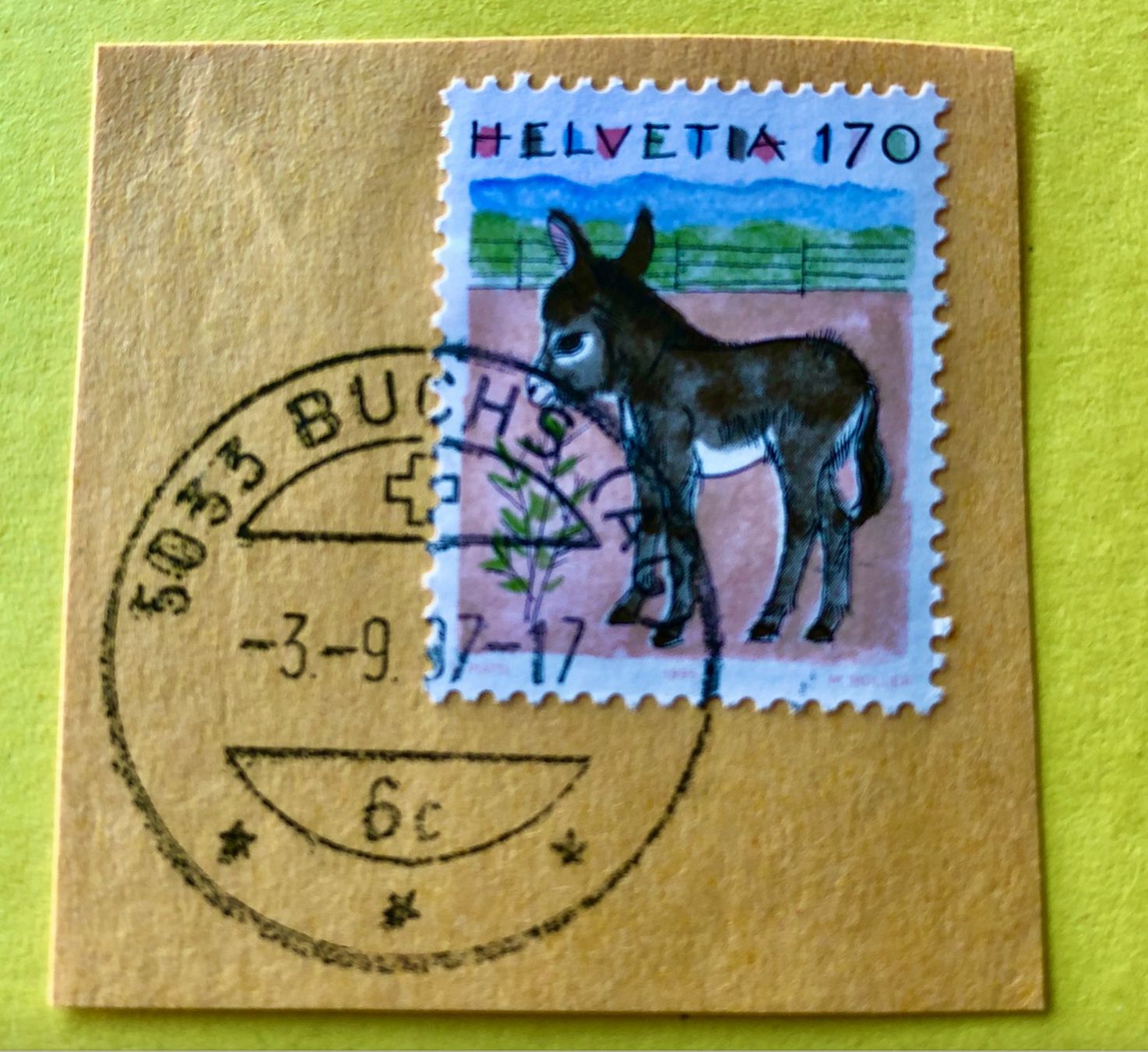 Tutti i francobolli: Nr.868 mit Stempelt Esel Buchs – Usato da Aarau venduto da Billa007