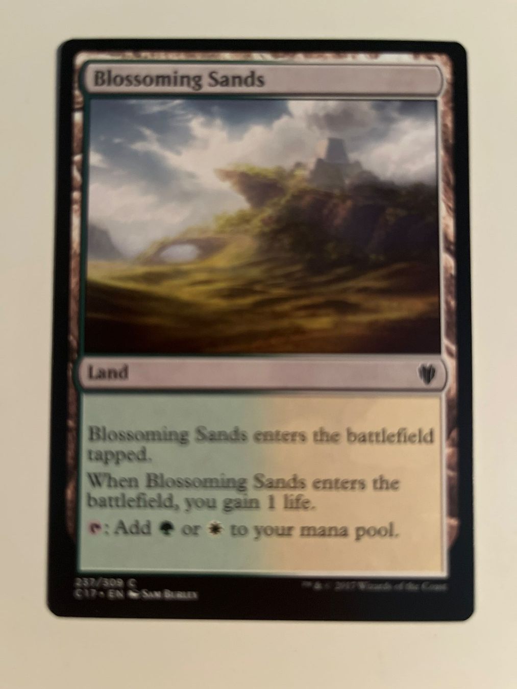Magic The Gathering Carte collezionabili: 1 x Blossoming Sands - Magic: The Gathering - MtG – Usato da Kriens venduto da Shadi1980