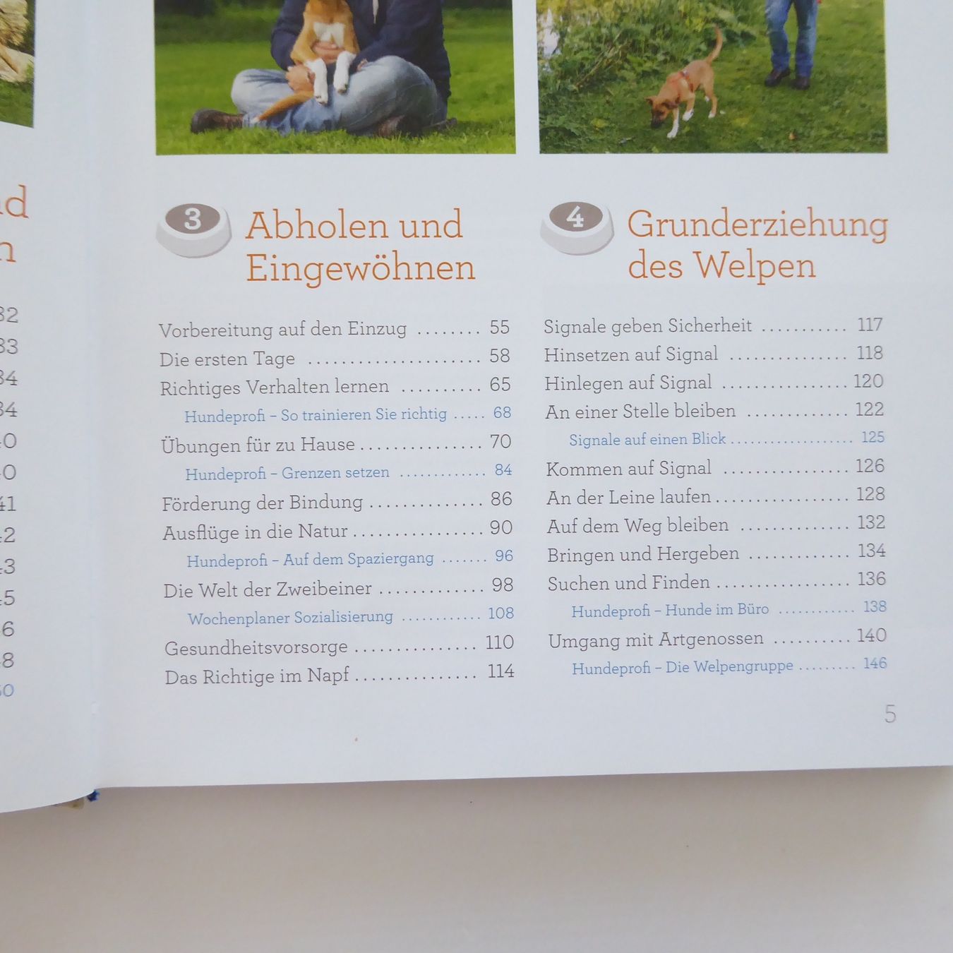 Libri: Welpentraining mit Martin Rütter – Usato da Basel venduto da Kunterbunt12 3