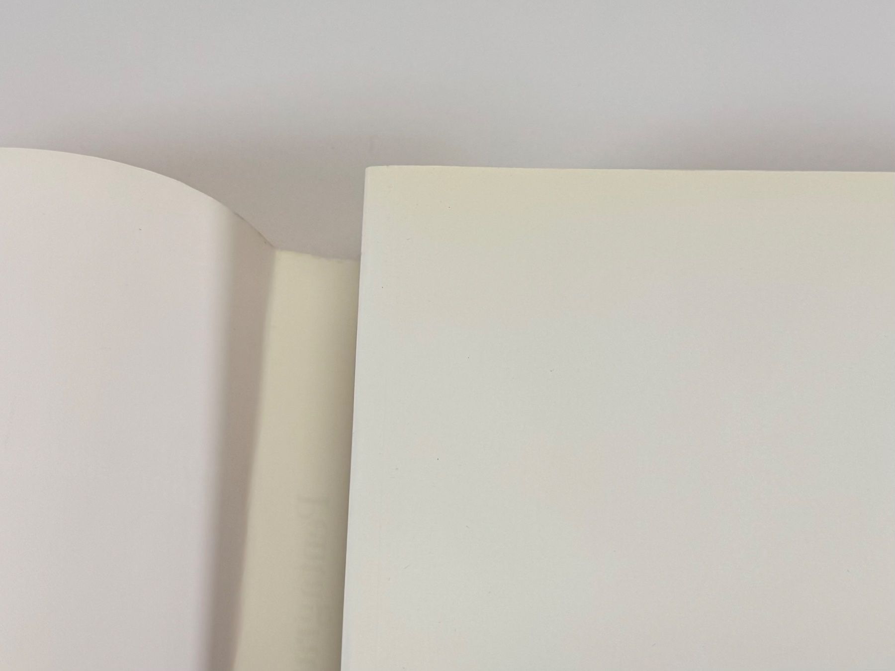 Libri: Pentagram: The Compendium – Designbuch von Phaidon – Usato da Winterthur venduto da Roli56 9