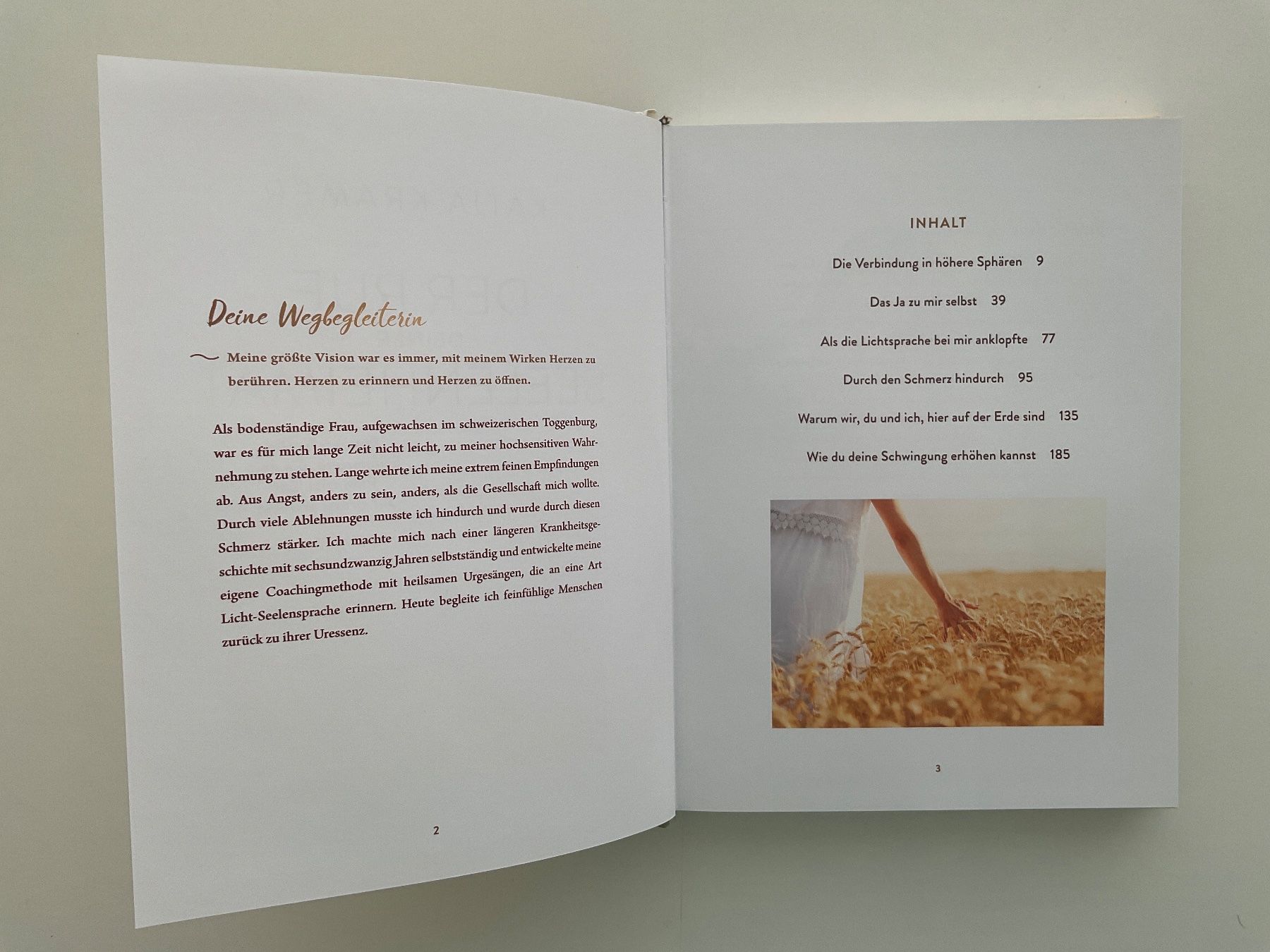 Libri: Katja Kramer - Der Ruf deiner Seelenheimat – Nuovo (secondo la descrizione) da Meggen venduto da BookRevivals 4