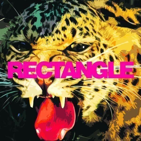 CDs: Rectangle "Scotch Test"  Swiss Schweizer Rock Suisse Romande – Gebraucht aus Genève von Cockattoo