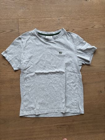 Kinder Lacoste T-Shirt Grösse 14 grau
