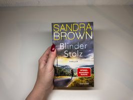 ROMAN: Sandra Brown, Blinder Stolz