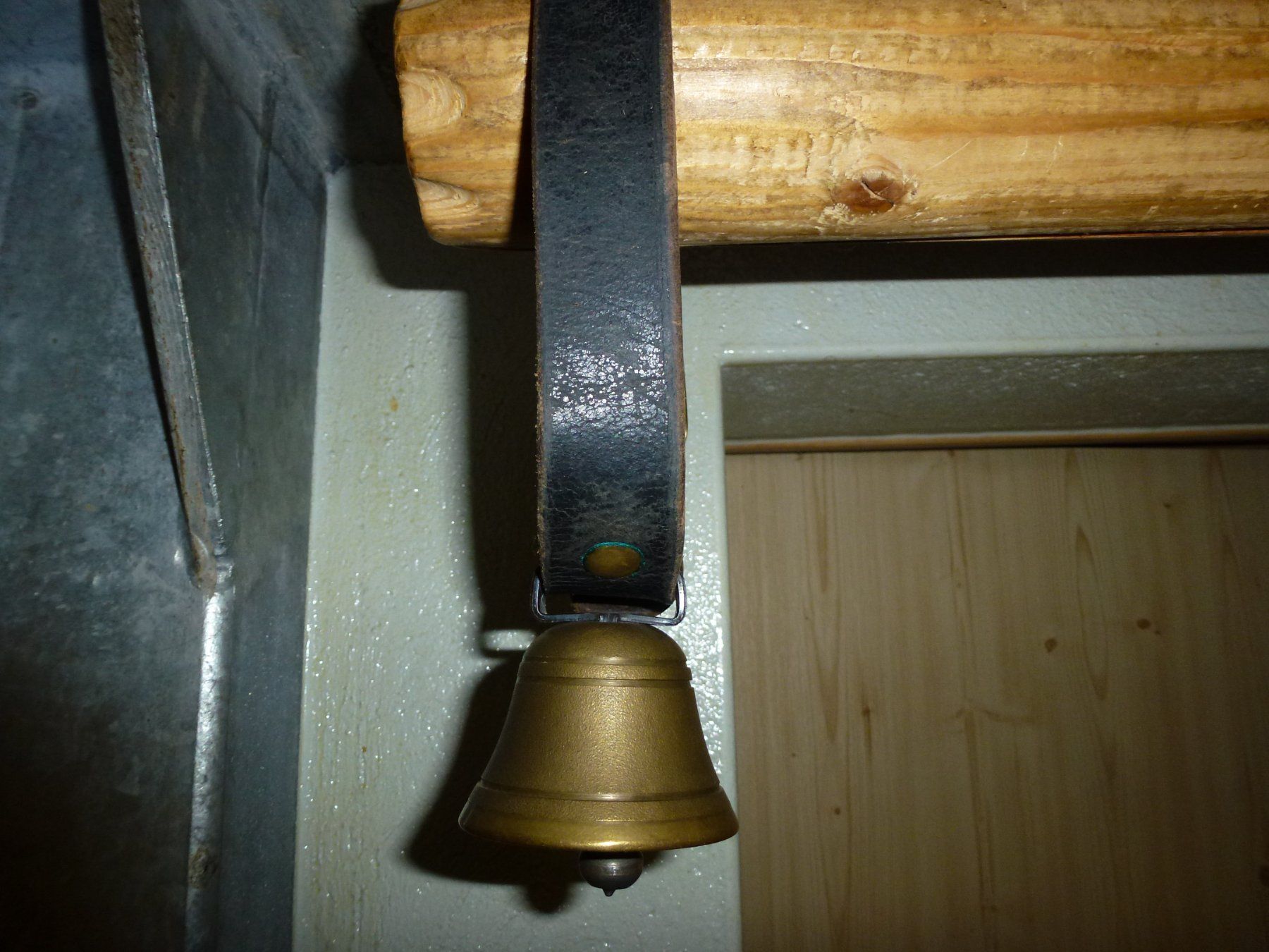 Campanacci mucche: Glocke für Schafe oder Ziegen – Usato da Bürglen UR venduto da daisyxy5 1