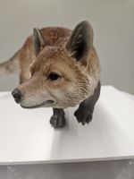 Fuchs 38 x 20 cm