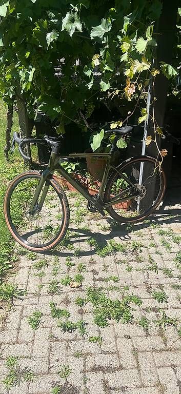Velos: Scott Addict 30  – Gebraucht aus Giornico von pin_t2f6