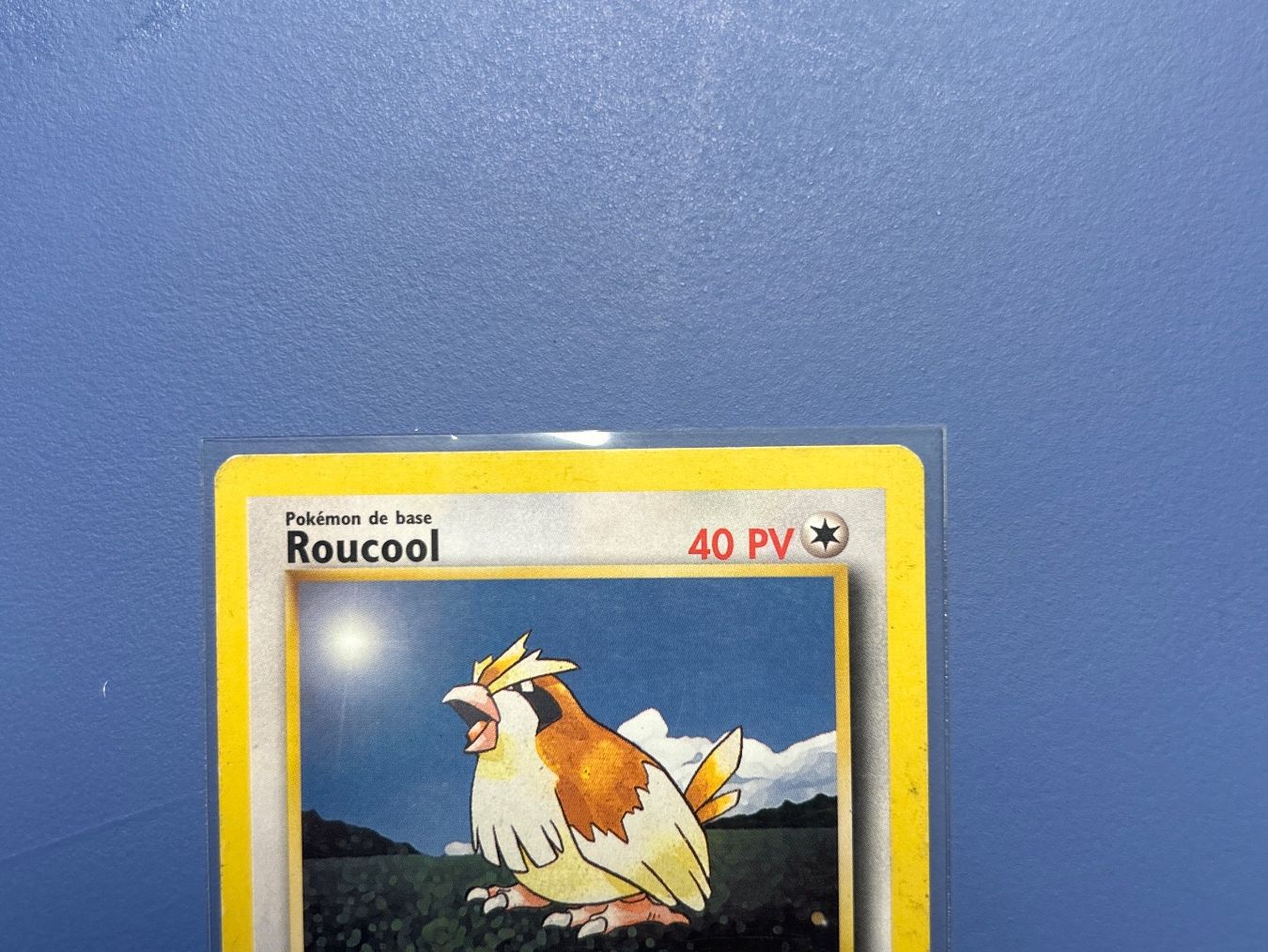 Pokémon Carte collezionabili: 1999 Roucoul 57/102 Set de base FR – Usato da Schlieren venduto da happymerchant64 2