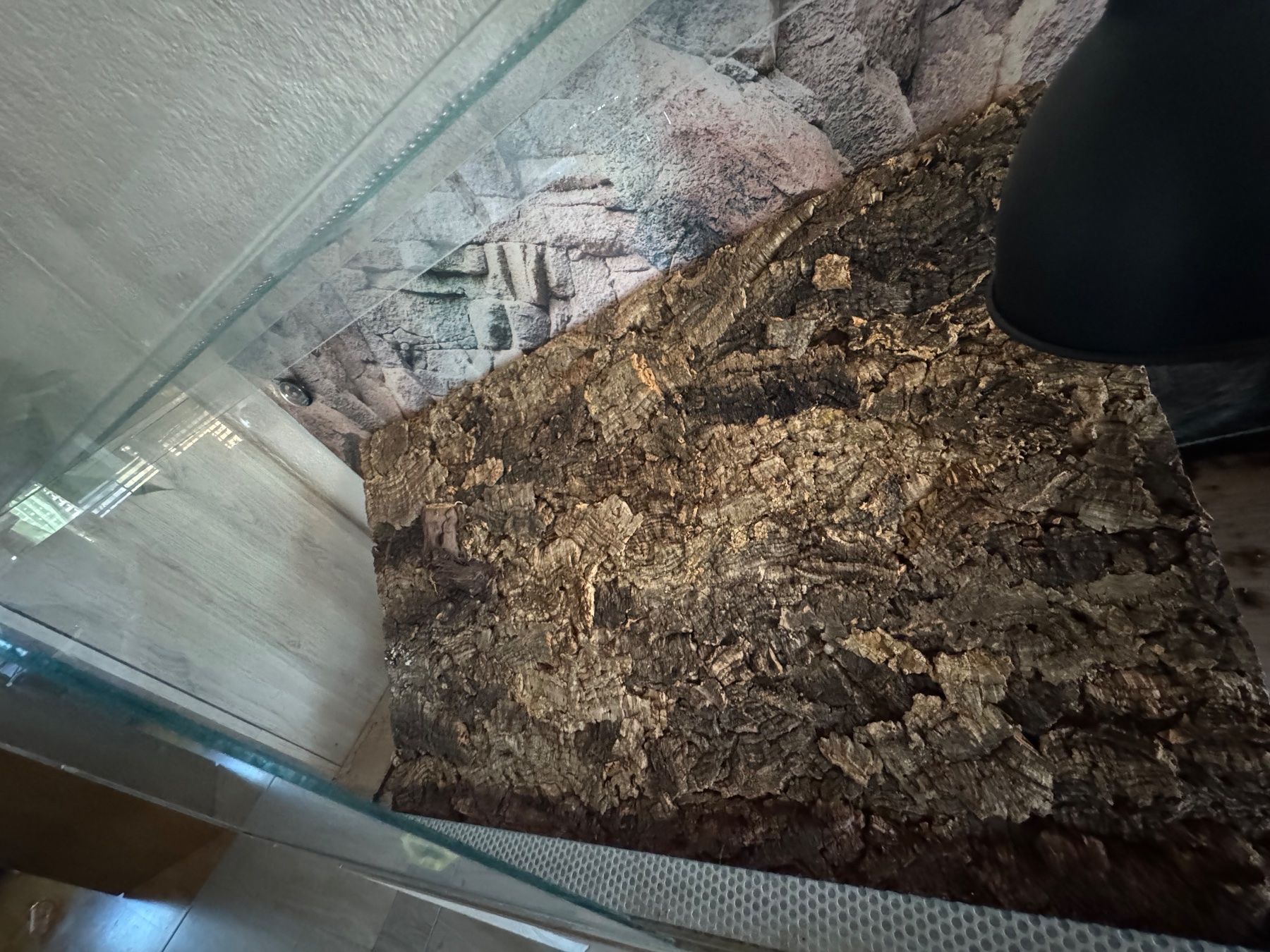 Terrarium: Terrarium – Gebraucht aus Saland von Swiss_Lady95 3