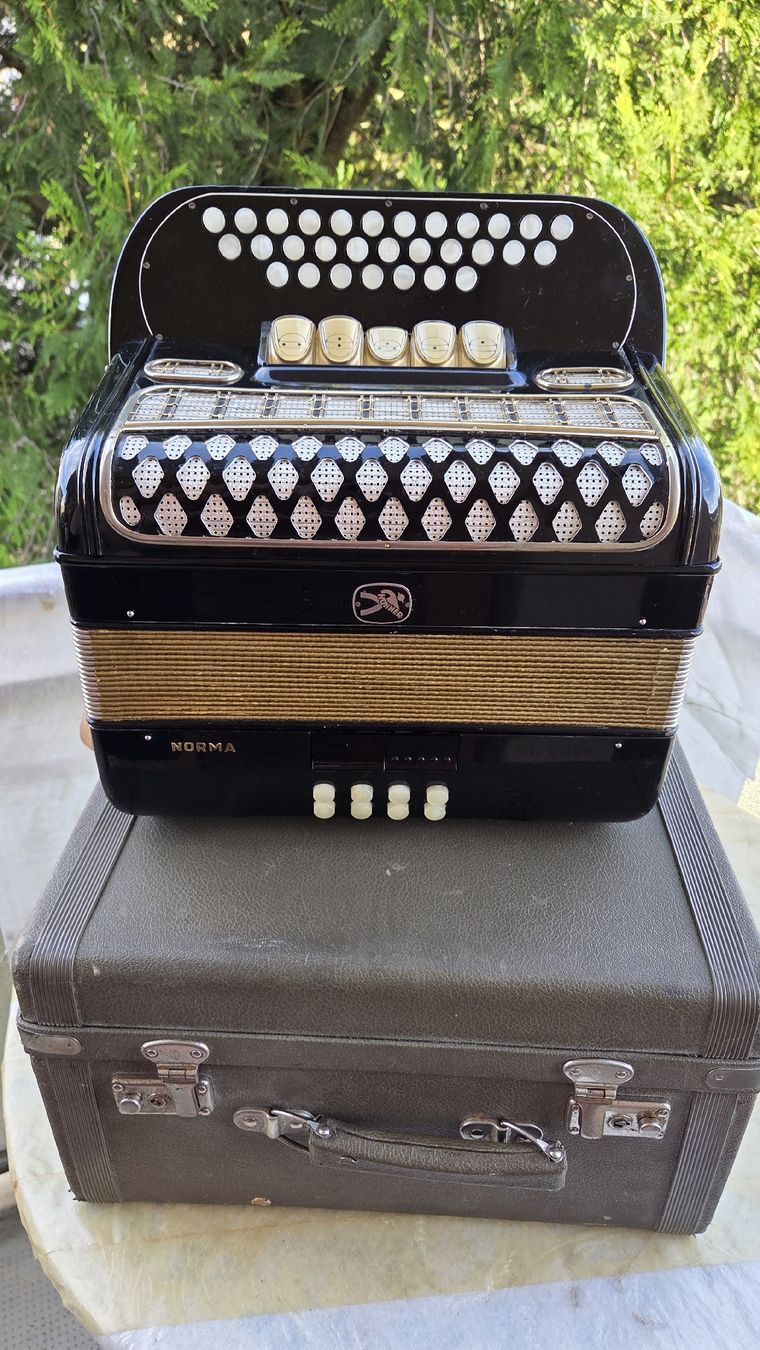 Hohner Strumenti musicali: hohner Norma III de luxe – Usato da Penthalaz venduto da EvandroLuz 4