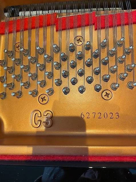 Musikinstrumente: Piano à queue Yamaha C3 - 186 cm – Gebraucht aus Delémont von fdg_jx7h 3