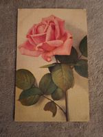 Ansichtskarte Schweiz Rosenmotiv antik gebraucht 1930
