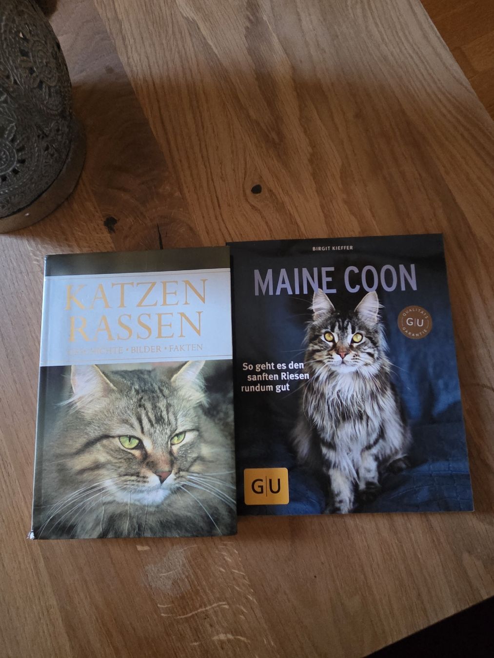Livres: Katzenbücher – D'occasion à Rafz par leoncupra