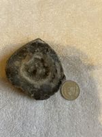 Geode / Druse - Einzigartiges Deko-Objekt für Sammler!