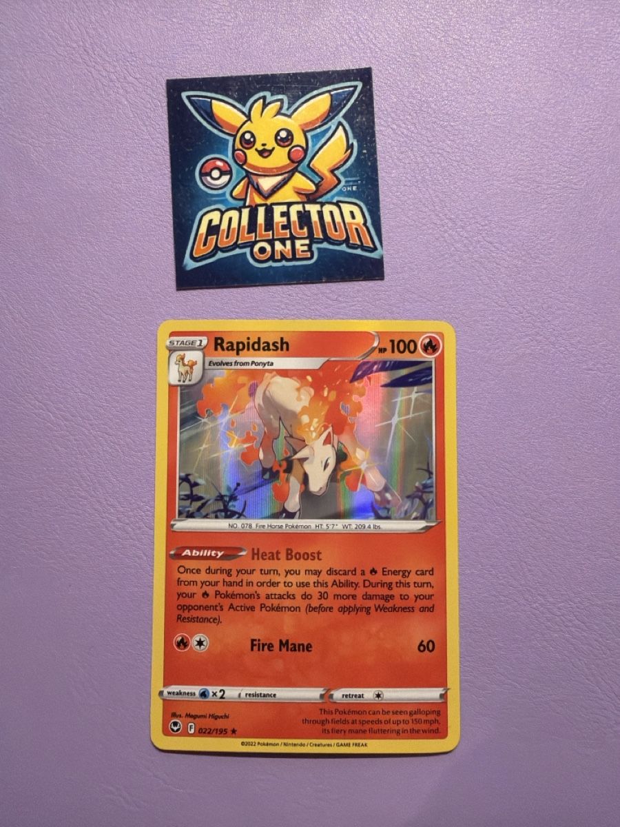 Pokémon Carte collezionabili: Pokemon Rapidash Holo 2022 – Nuovo (secondo la descrizione) da Lommiswil venduto da CollectorOne