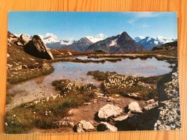 Fuorcla Grevasalvas - Bergsee - AK 1998