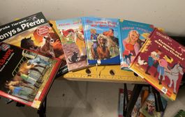 6 Kinderbücher Pferde/Ponys Abenteuer 🐎