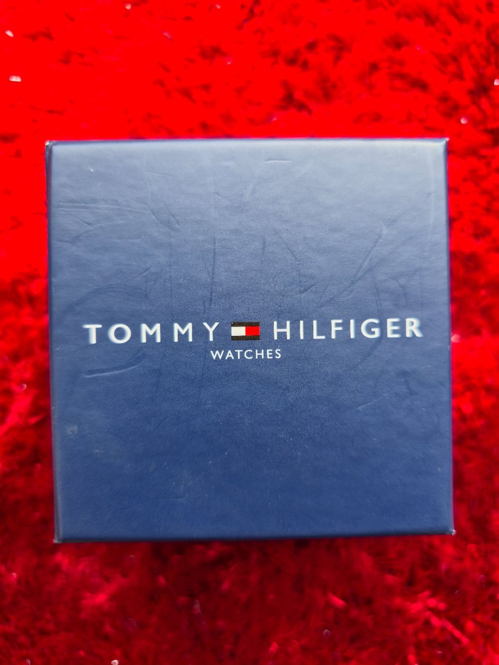 Tommy Hilfiger Orologi: Tommy Hilfiger Herrenuhr – Usato da Hergiswil NW venduto da Sokka2.0 4