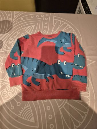 Tolles Pullover von der Marke Next Grösse 110.