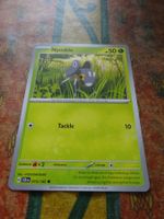 POKEMON  Nymble    H  SCR EN   015/142   HP50   2024