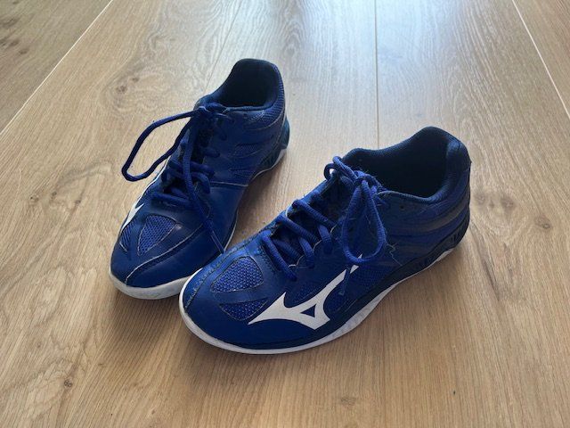 Mizuno Herrenschuhe: Mizuno Hallenturnschuh Lightning Star Grösse 36 – Gebraucht aus Rigi Kaltbad von Tinjac7371 1