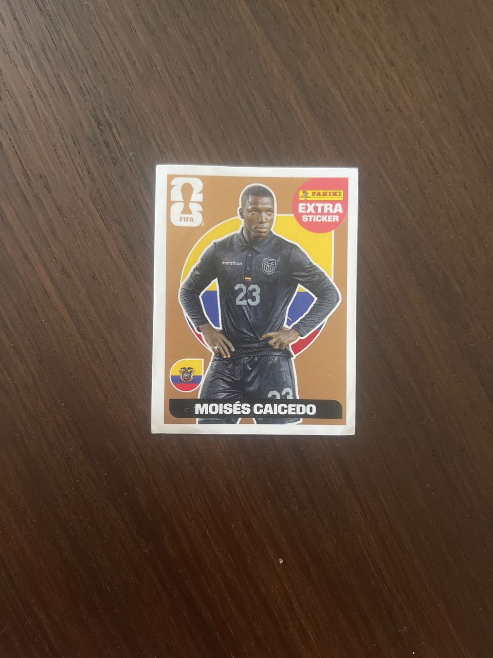 Panini Carte collezionabili: Panini Extra Sticker Bronze Moisés Caicedo – Usato da Bertschikon Gossau venduto da Fabienne8008