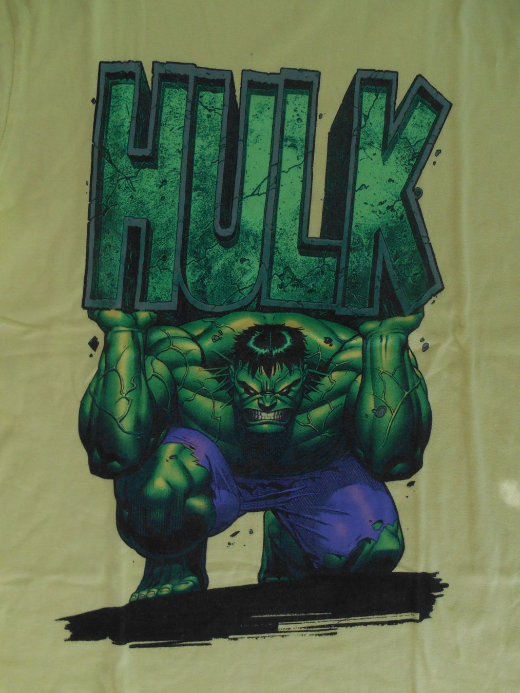 Camicie, T-shirt & Polo: T'Shirt 'Hulk' Gr. 152 – Nuovo (secondo la descrizione) da Nussbaumen AG venduto da Sumopi 1