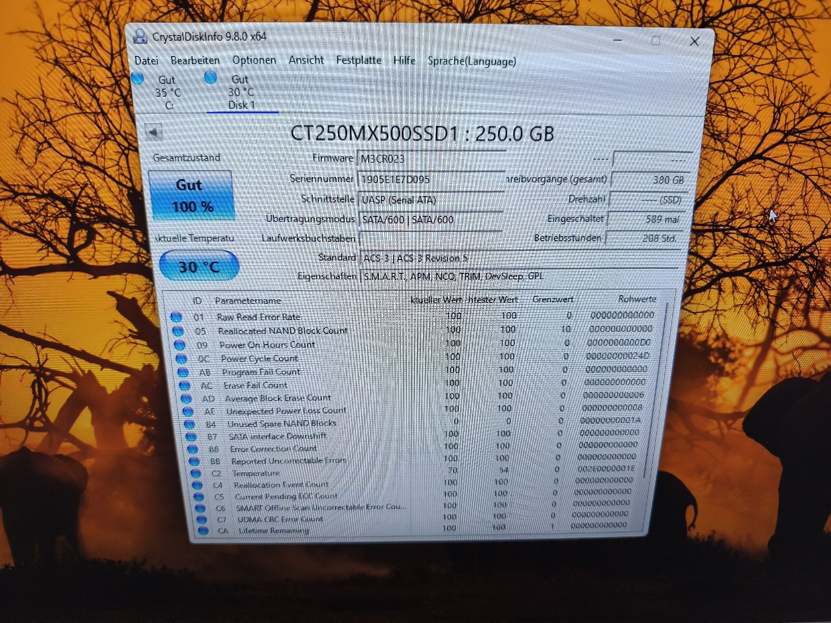 Crucial Harddisks: 2 Festplatten 250 Gb – Gebraucht aus Burgdorf von weggu.666 2