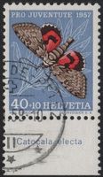40 Rp. Rotes Ordensband mit TAB (Catocala electa)