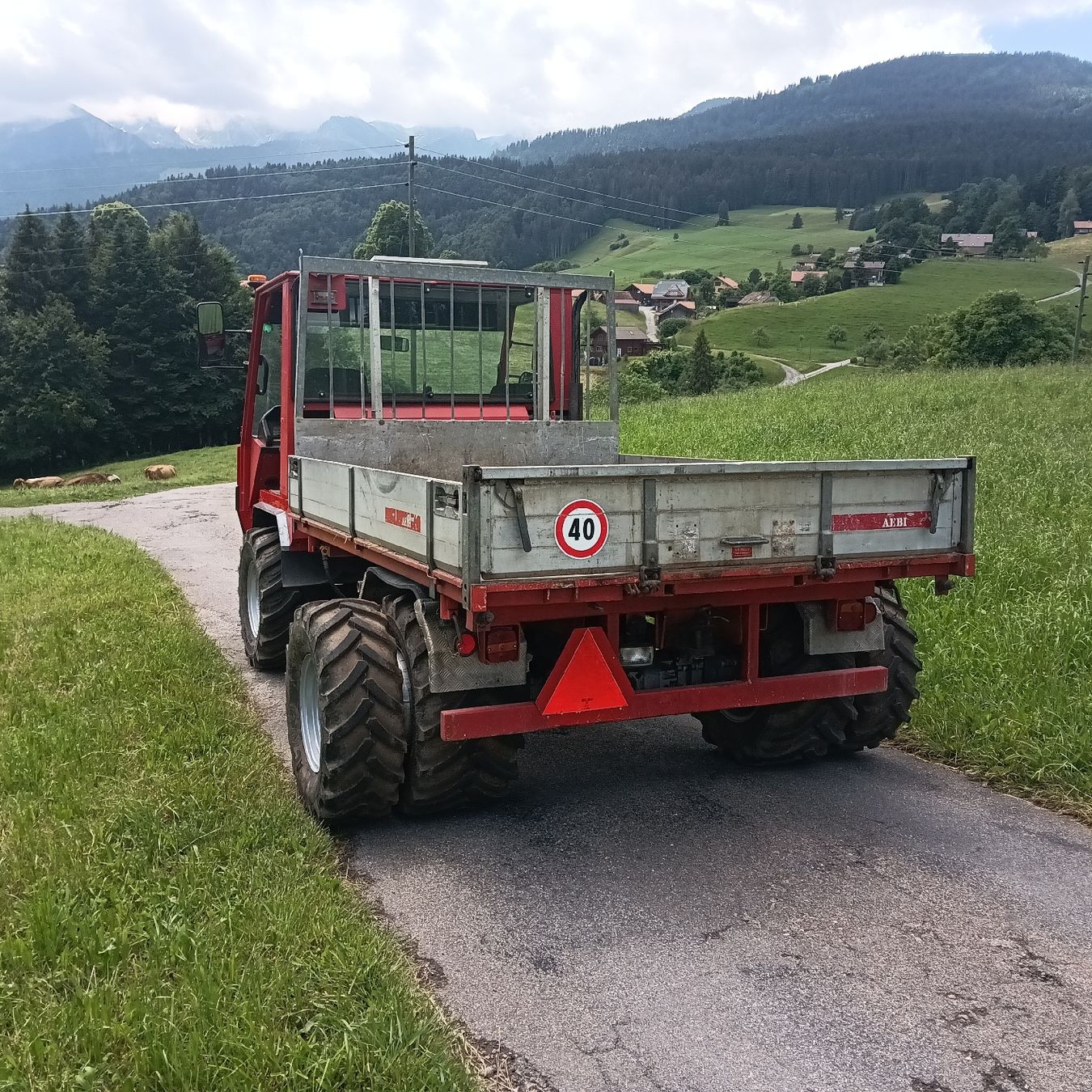 Pneumatici & Ruote complete: doppelräder aebi schilter reform hoflader – Nuovo (secondo la descrizione) da Wattenwil venduto da Pistenbullypolar 3