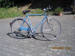Mondia