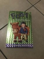 Pony Geschichten
