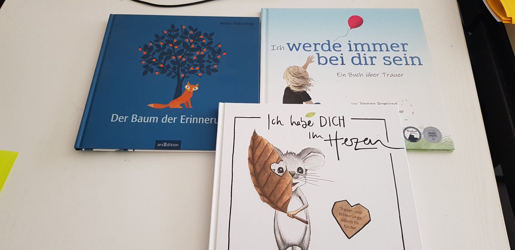 Libri: Trauerbücher für Kinder – Usato da Dürnten venduto da BAschwanden