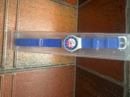 Montre Patrouille Suisse