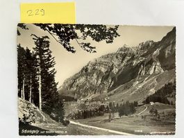 Alte Ansichtskarte Schwägalp mit Säntis (2504); 1954