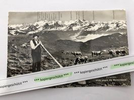 Pilatus Blick Berneralpen alt ungelaufen AK