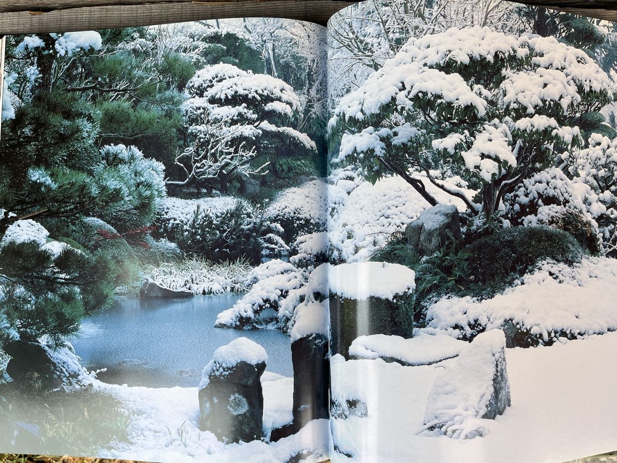 Libri: Les leçons du JARDIN ZEN – Usato da Euseigne venduto da so.ART 6