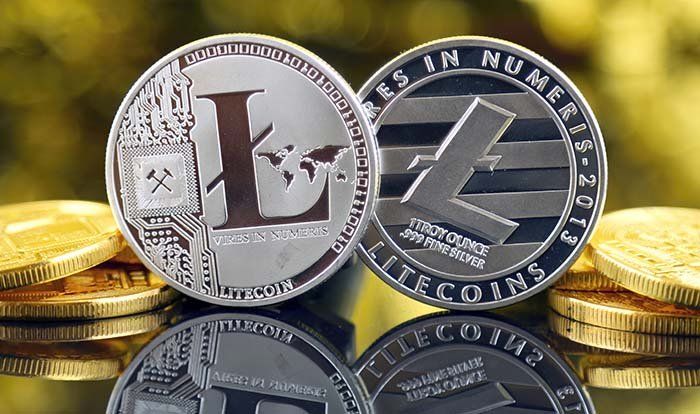 Tutti le monete: Pièce Litecoin grise (crypto) – Usato da Villa (Evolène) venduto da Allan3