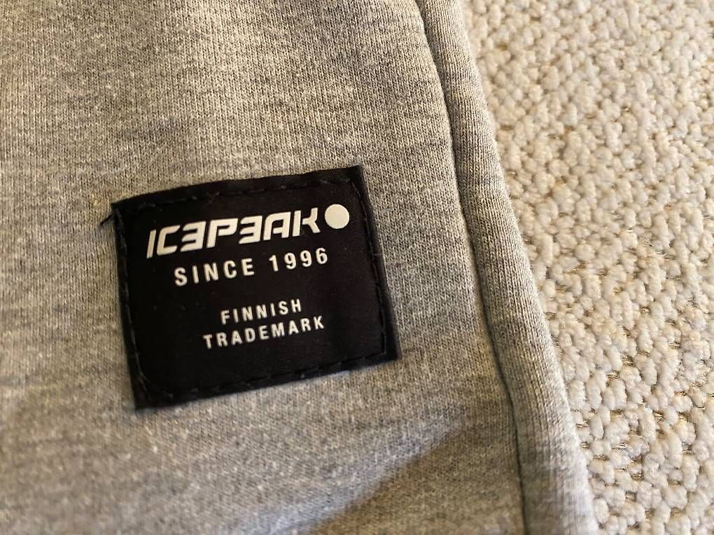 Icepeak Hosen: Icepeak Shorts Grau Gr. M – Gebraucht aus Winterthur von car_gn8b 1