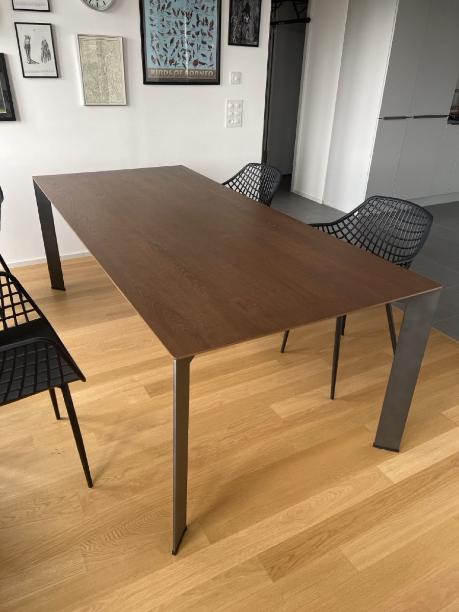 Pfister Tavoli: Dining table pfister – Usato da Zürich venduto da 102_2xvt