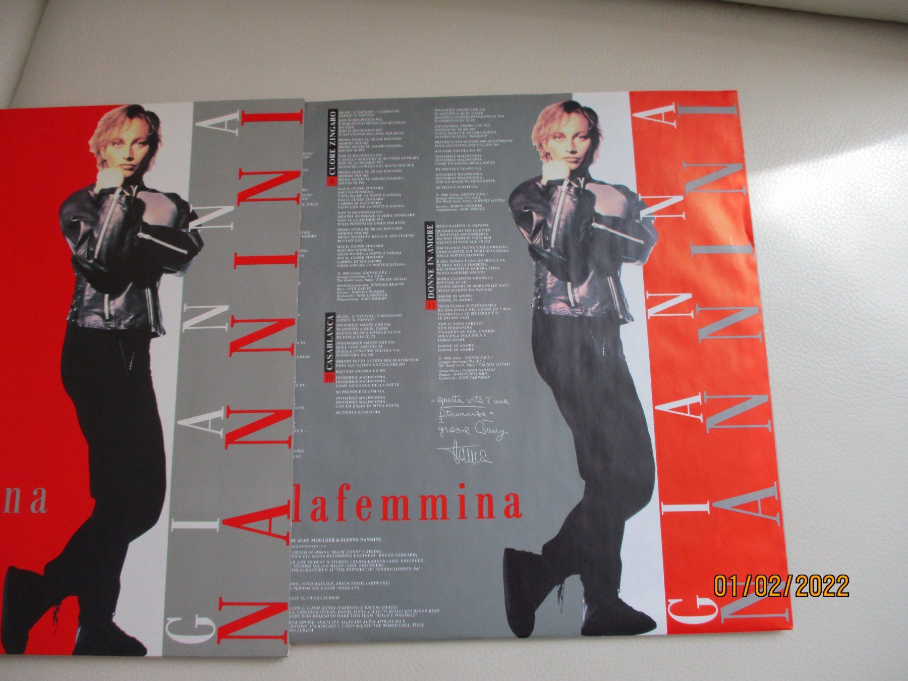 Dischi in vinile: Gianna Nannini – Malafemmina – Usato da Liestal venduto da Disc-Point 2