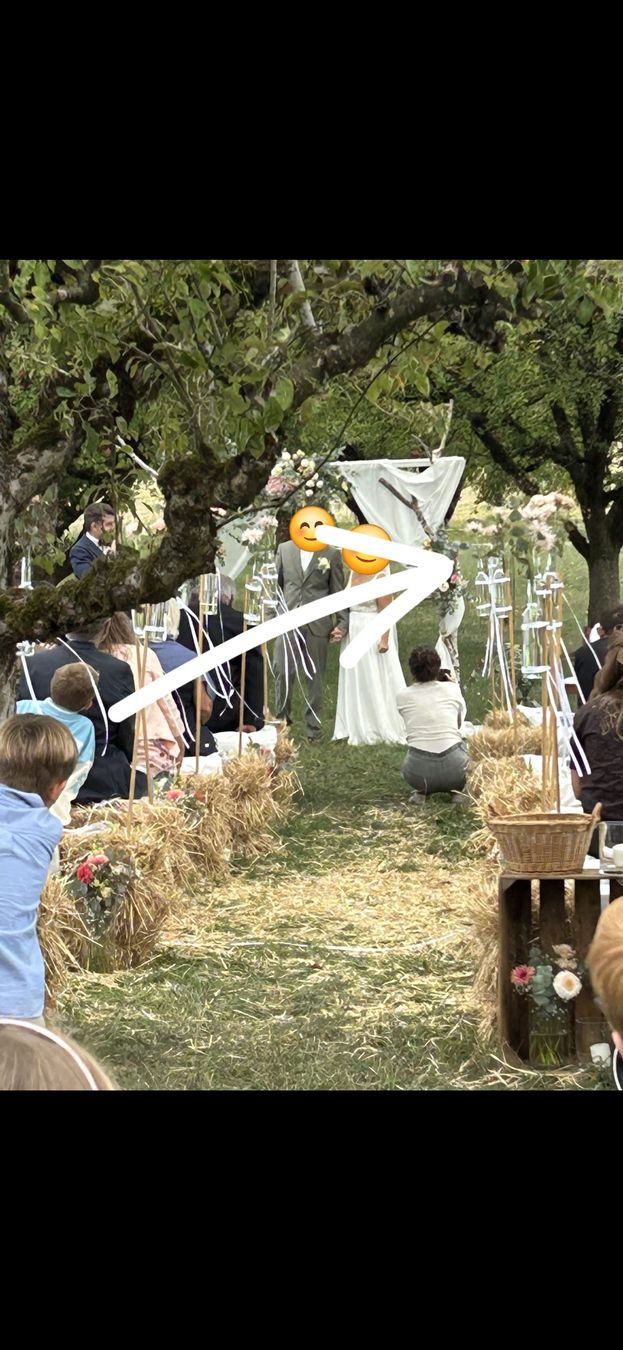 Tutte le decorazioni: Deko Vasen Flaschen inkl. Stäbe – Usato da Seuzach venduto da gerstern 2