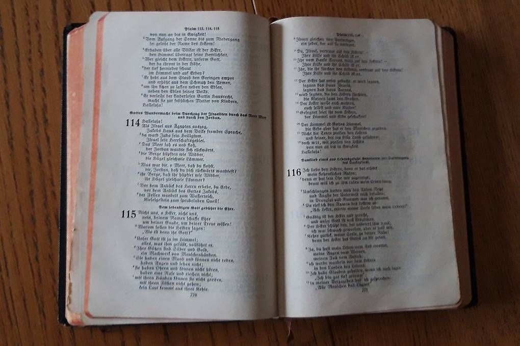 Libri: Die heilige Schrift mit alter Schrift – Usato da Untersiggenthal venduto da Myrthamw 1