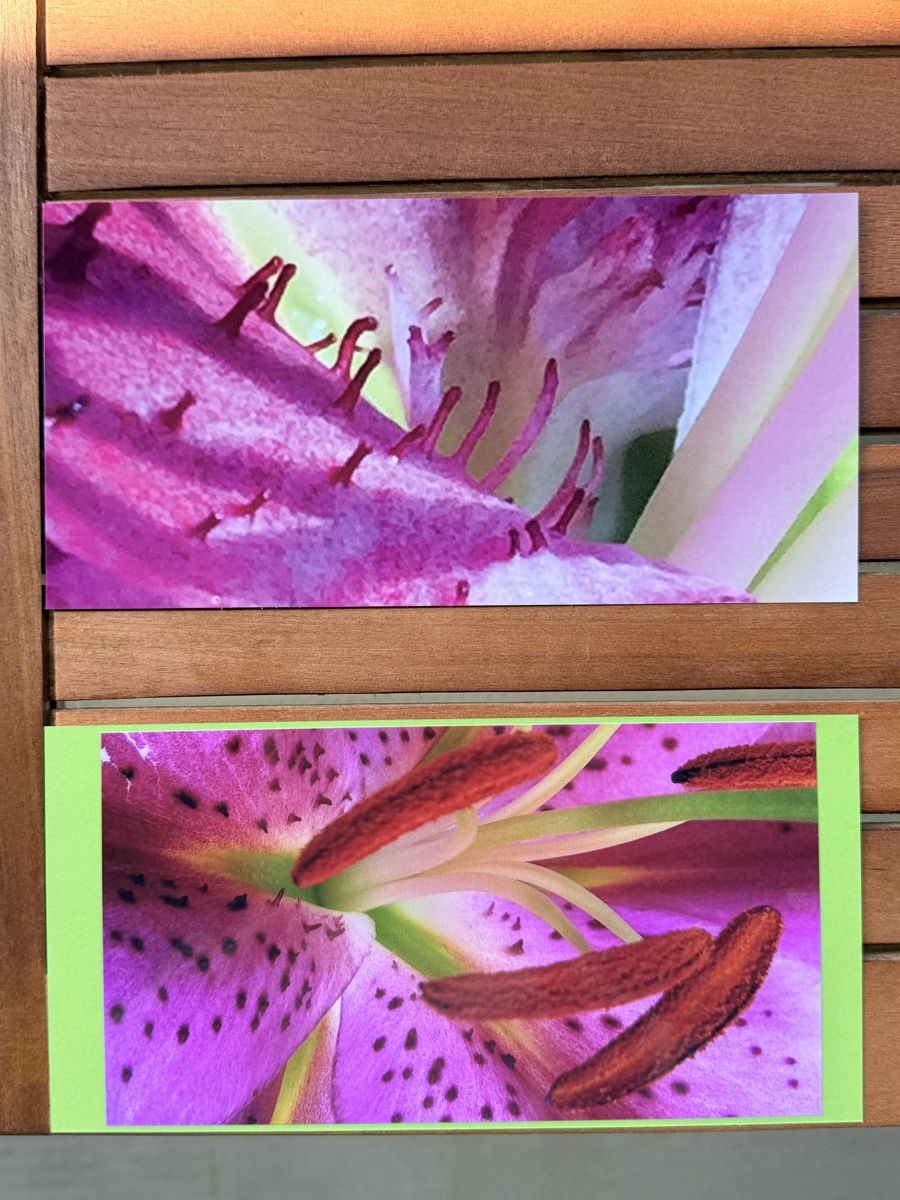 Cartoline: Fotokarten – Nuovo e nell'imballaggio originale da Riehen venduto da Claudia024