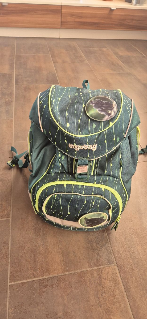 Ergobag Sacs à dos: Ergobag – D'occasion à Wuppenau par Suenneli10